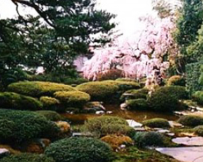 SUGEKE GARDEN