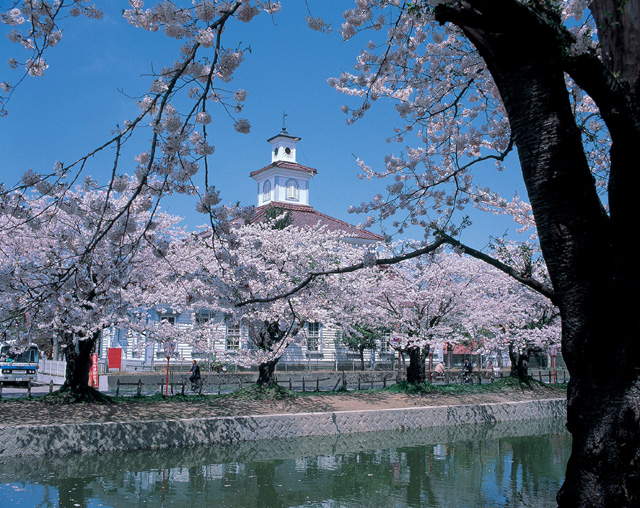鶴岡公園(鶴岡市) 湯野浜温泉観光協会 鶴岡公園(鶴岡市) 湯野浜温泉観光協会